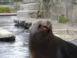Tiergarten Schönbrunn am 24.02.2026